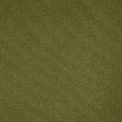 Pindler FLORENTINA OLIVE 8004 Fabric