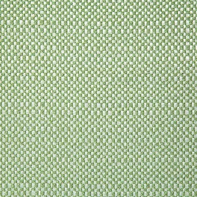 Pindler WADING SPRING 8167 Fabric