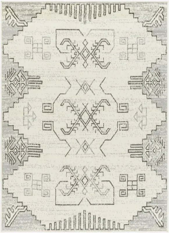 Pisa PSS-2360 6′ x 9′ Machine Woven Area Rug