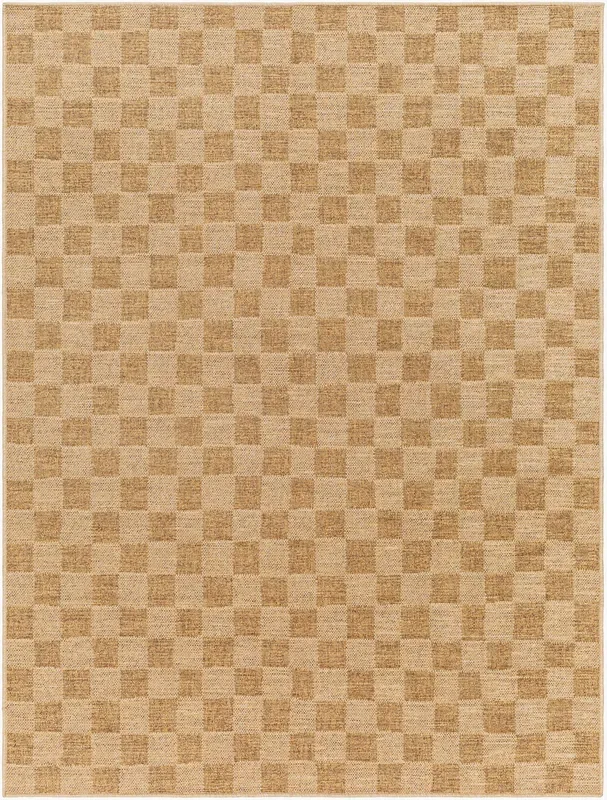 Pismo Beach PMB-2310 9′ x 12′ Machine Woven Indoor/Outdoor Area Rug