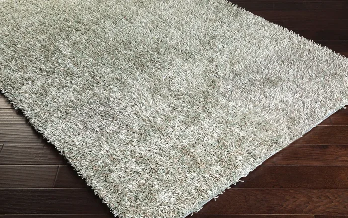 Prism PSM-8010 2′ x 3′ Handmade Accent Rug