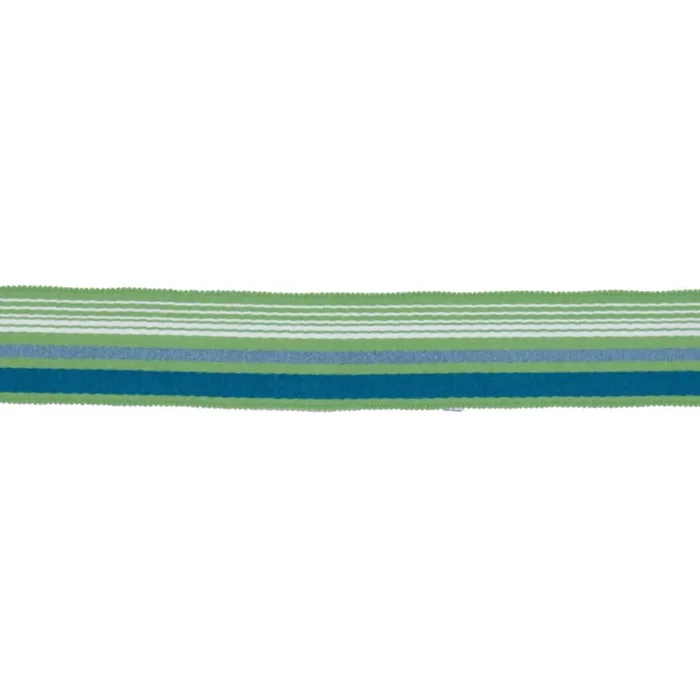 RM Coco BD103 BORDER 1 7/8″ CITRUS