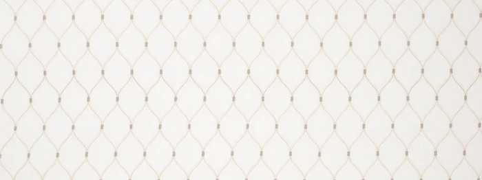 Robert Allen Traliccio | Oyster Drapery – 515460