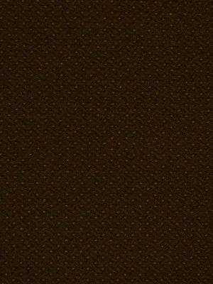 Robert Allen Wee Dots | Terrain Upholstery – 185399