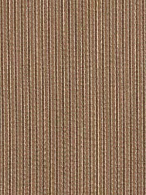 Robert Allen Yang | Desert Upholstery – 043171