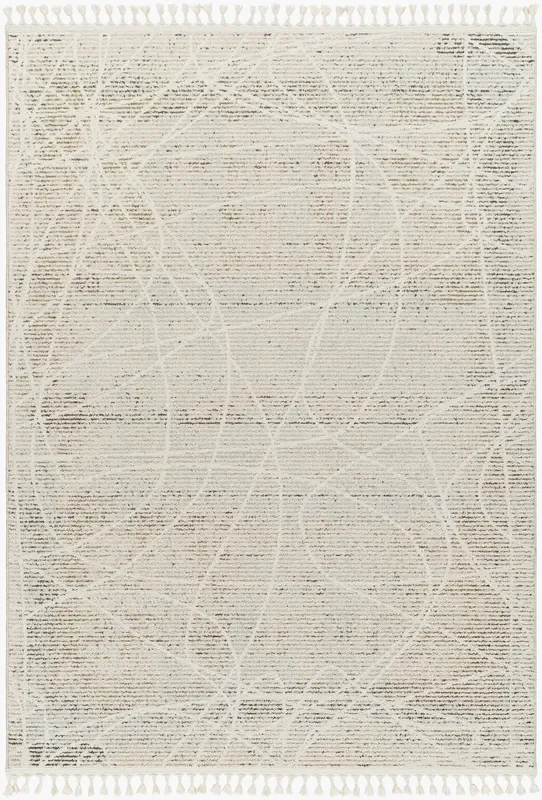 Rudy RDY-2303 9′ x 12′ Machine Woven Area Rug