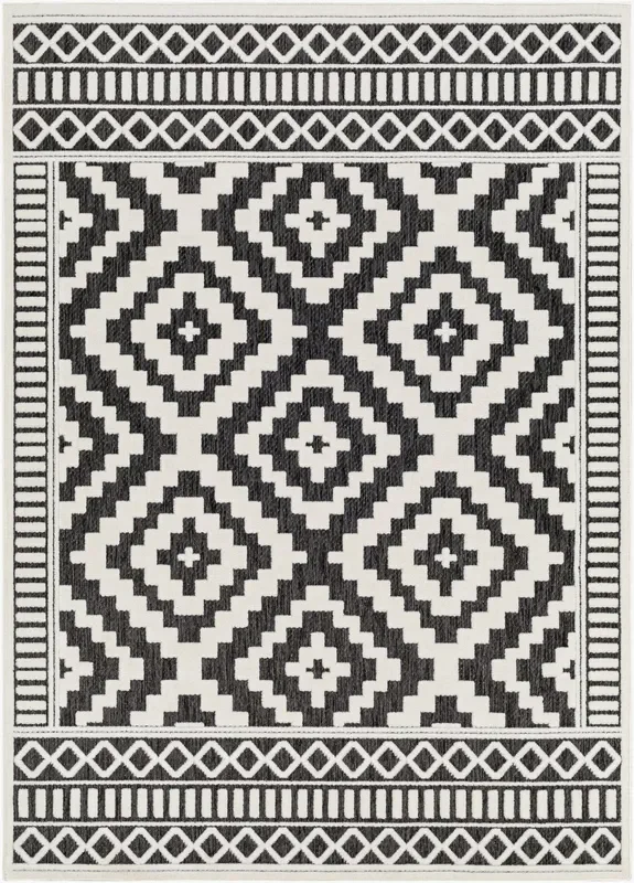 San Diego SFG-2301 8′ x 10′ Machine Woven Indoor/Outdoor Area Rug
