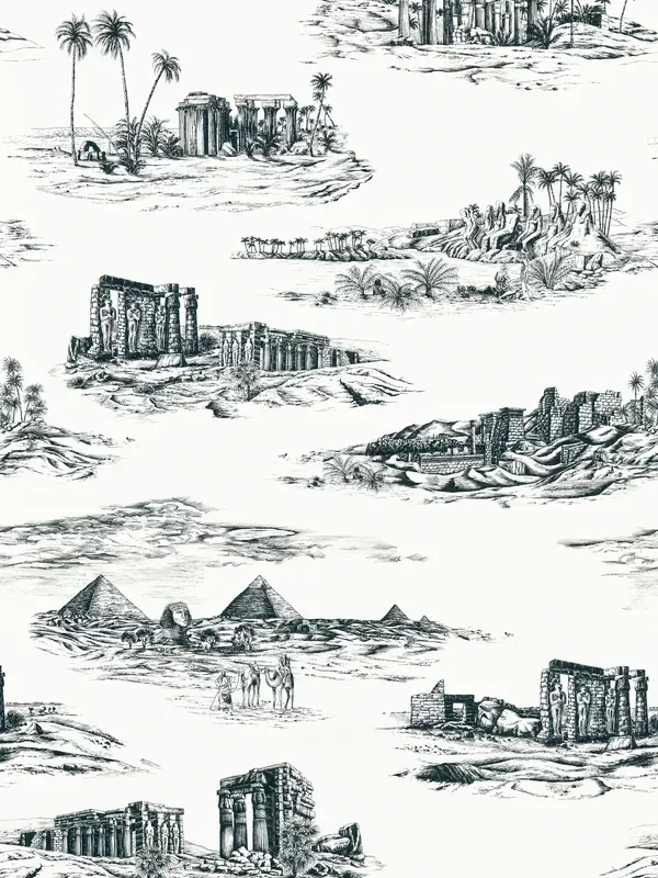 Scalamandre SC 000116635 INK CAIRO TOILE Fabric