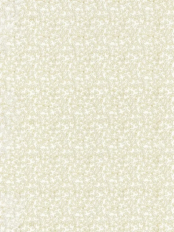 Scalamandre ZS 00036949 IVORY HELE BAY Fabric