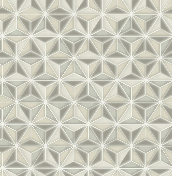 Seabrook Designs Avant Garde Einstein Geometric Geometric Transitional Silver Metallic – AV51408