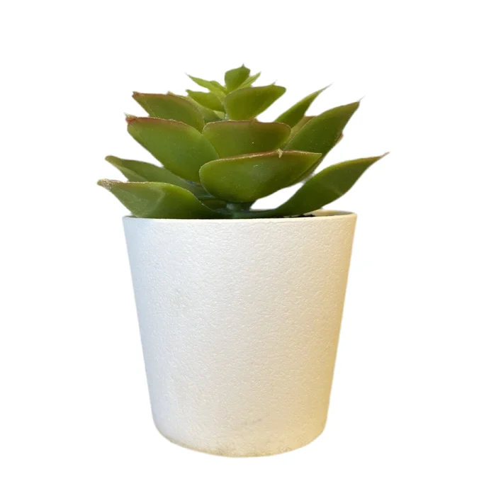 Small Faux Succulent Decor- Open Box