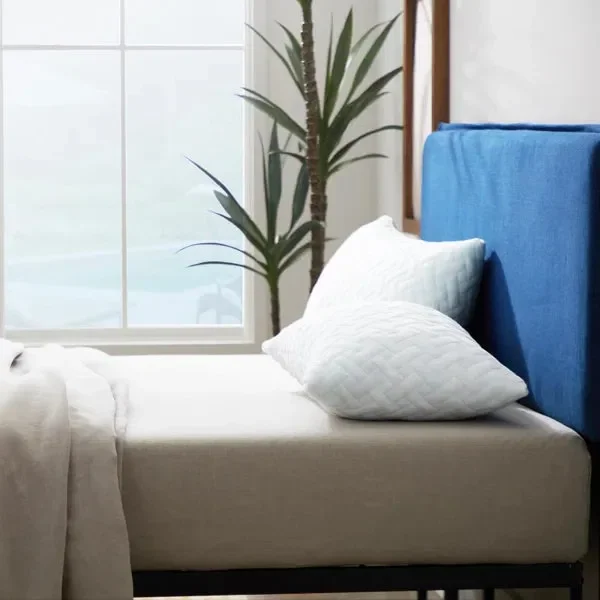 Springer Shredded Memory Foam Medium Support Pillow king (Set of 2)