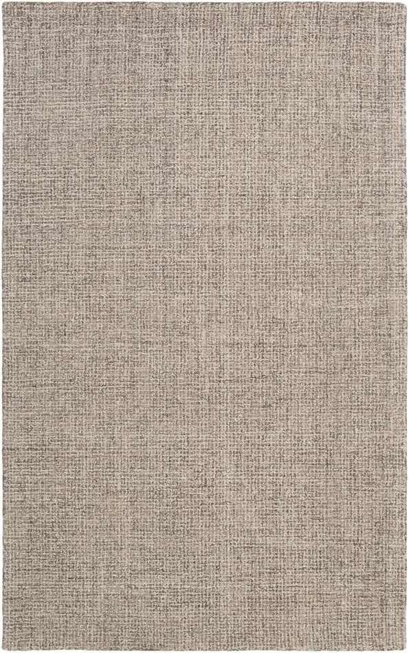 Surya Aiden 2′ X 3′ Area Rug