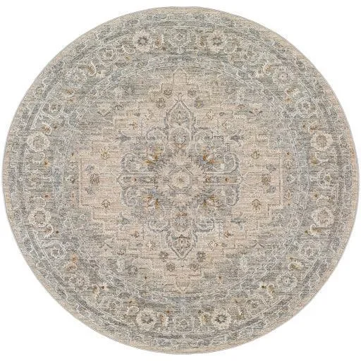 Surya Avant Garde AVT-2302 10′ x 14′ Rug