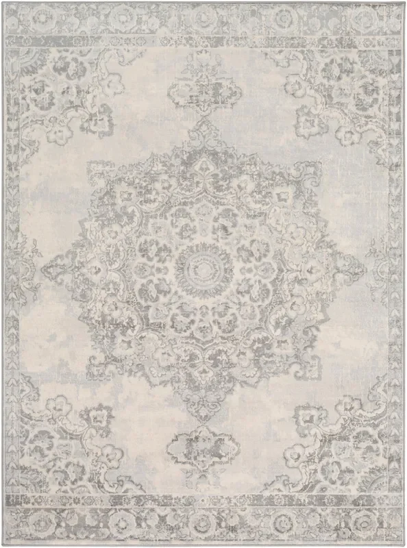 Surya Closeout Monaco MOC-2301 Silver Gray Rug