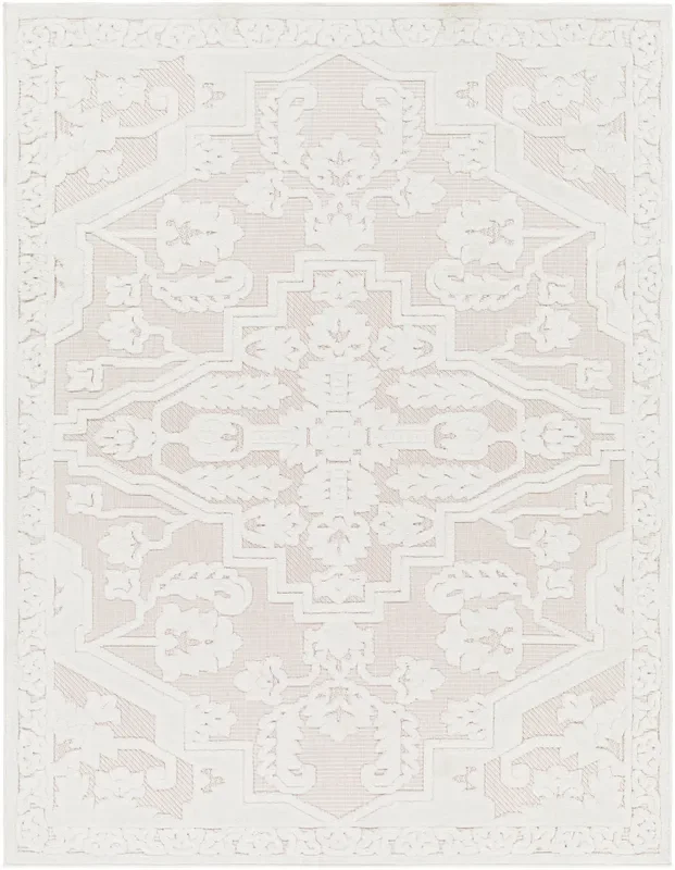 Surya Closeout San Diego SFG-2339 Light Grey Rug