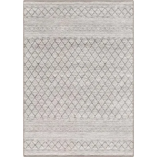 Surya Contempo CPO-3847 2’7″ x 7’10” Rug