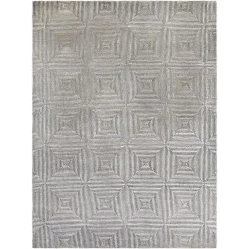 Surya Luminous LMN-3005 5′ x 8′ Rug