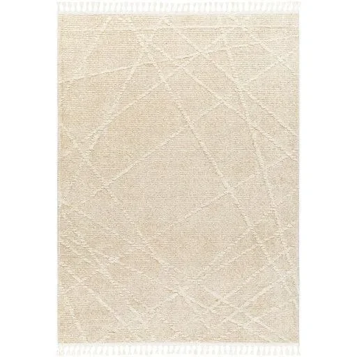 Surya Rudy RDY-2307 7’10” x 10′ Rug