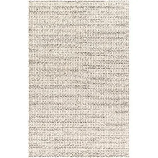 Surya Sundance SDC-2303 3’6″ x 5’6″ Rug