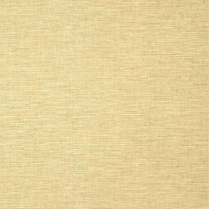 Thibaut TWW14564 SPIRO Straw Wallpaper