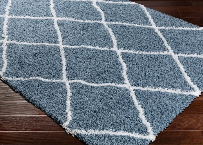 Urban Shag USG-2309 2′ x 3′ Machine Woven Accent Rug