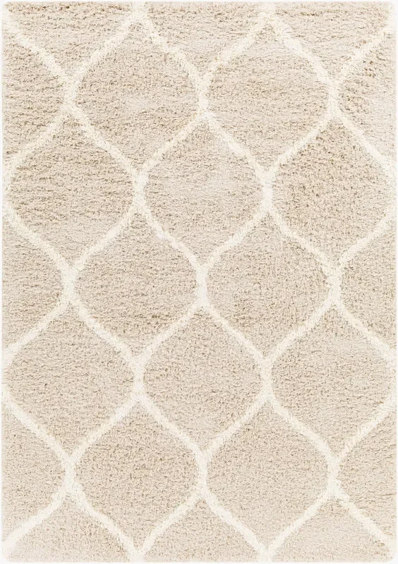 Urban Shag USG-2320 6′ x 9′ Machine Woven Area Rug