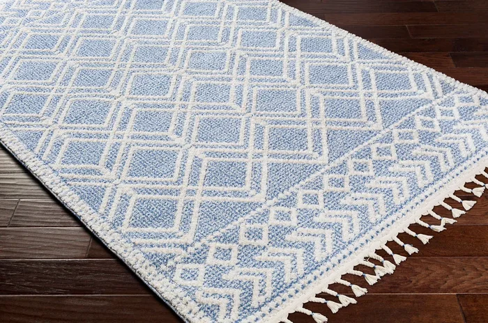 Valencia VLC-2314 2′ x 3′ Machine Woven Accent Rug
