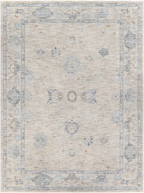 Virginia VGN-2302 9′ x 12′ Machine Woven Area Rug