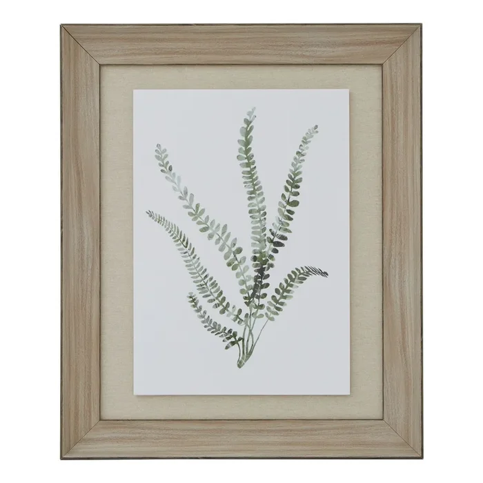 Watercolour Delicate Fern In Washed Wood Frame
