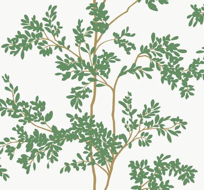 York Wallcoverings Blooms Lunaria Silhouette White and Green Wallpaper Botanical Whites and Off-Whites Wallpaper – BL1801