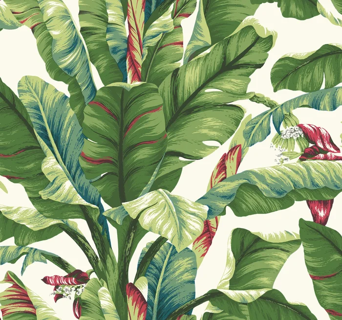 York Wallcoverings Tropics Resource Library Banana Leaf Aqua and Red Wallpaper Whites and Off-Whites Wallpaper – AT7068