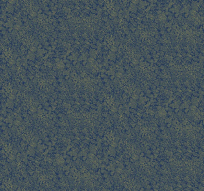 York Wallcoverings York Wallcoverings Rifle Paper Co. Champagne Dots Gold & Navy Wallpaper Small Prints Small Prints Gold & Navy – RI5113