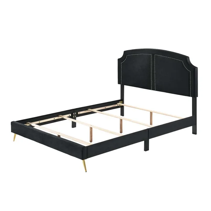 Zeena – Queen Bed – Black Velvet
